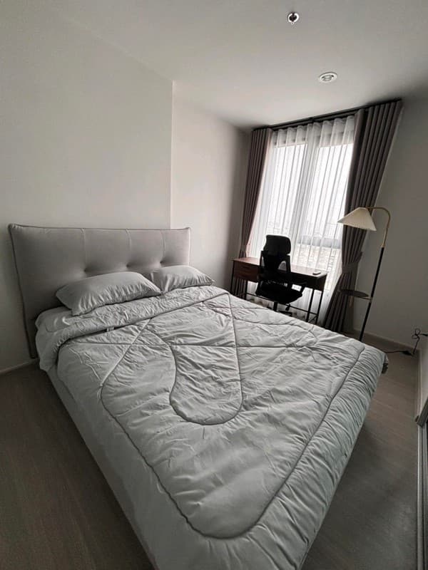 Photos