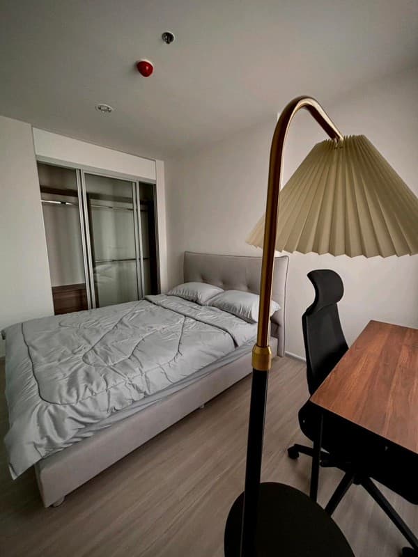 Photos