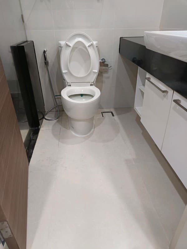 Photos