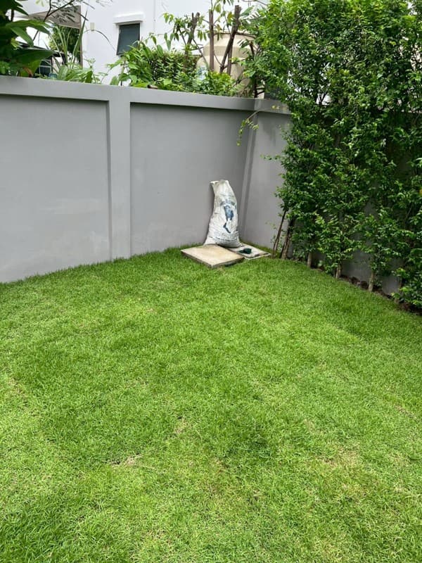 Photos