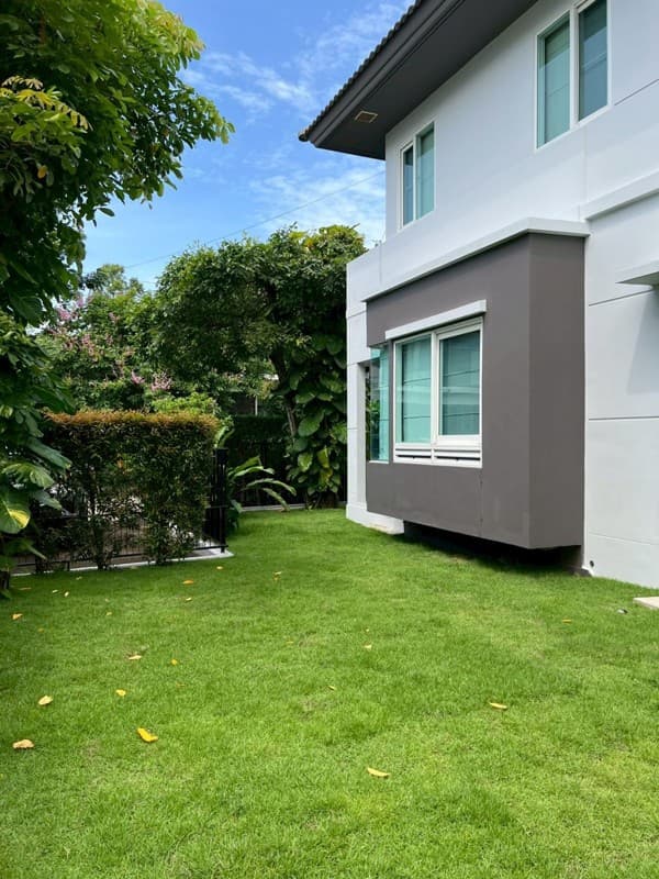 Photos