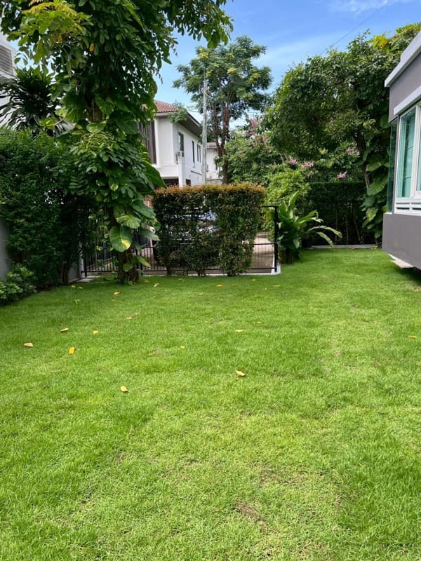 Photos